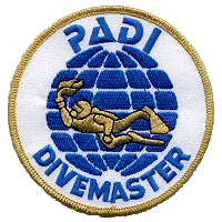 Padi